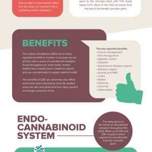 CBD infographic