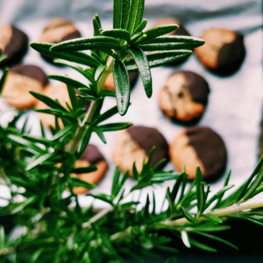 Rosemary Cookies Brings Healthy Benefits | Fearless Nutrition